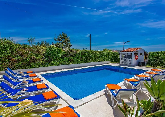 Animado By 阿尔布费拉