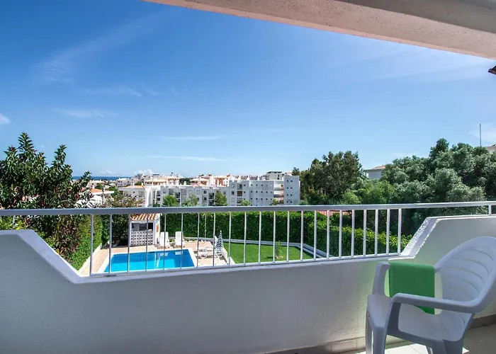 Animado By * 알부페이라